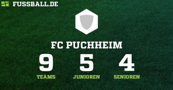Fc puchheim logo — photo 2