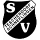 SV Teschendorf-Schneflingen