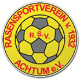 RSV Achtum