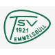 TSV Emmelsbüll II