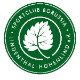 SC Borussia Lindenthal-Hohenlind U17