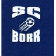 SC Borr