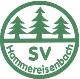 SV Hammereisenbach