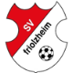 SV Friolzheim
