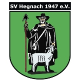 SV Hegnach