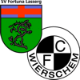FSG Lasserg II