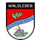 SV Eintracht 1919 Walsleben e.V. (flex)
