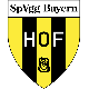 SpVgg Bayern Hof 2