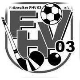 Pritzwalker FHV 03