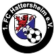 1. FC Hattersheim zg.