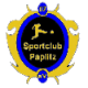 SC Paplitz 07 zg.