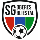 SG FC Gronig 1