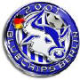 Bluechips Berlin z.g.
