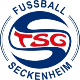 JSG Seckenheim (Flex)