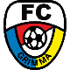 FC Grimma