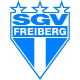 SGV Freiberg Fußball