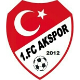 1. FC Akspor Landstuhl