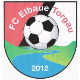 FC Elbaue Torgau I
