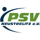 PSV Neustrelitz (1:8)