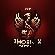 FFV Phoenix Zwickau zg.