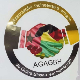 FC Guine-Bissau