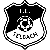 FC Selbach