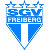 SGV Freiberg Fußball