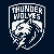 Thunder Wolves