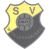 SV Wollershausen 72
