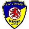 TSV Viktoria Ölsburg