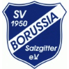 SV Borussia Salzgitter