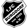 1.FC Burgdorf