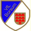 VFL Borsum