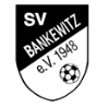 SV SW Bankewitz