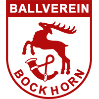 BV Bockhorn