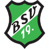 BSV 19