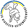 BSV Heidenoldendorf