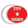 Türkischer SV Horn