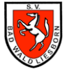 SV Bad Waldliesborn