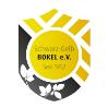 SV Schwarz-Gelb-Bokel