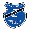 FC Victoria Bammental
