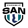 VfB Schönau