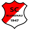 SC Blumenau