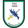 TSV Palmbach