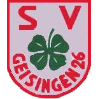 SV Geisingen