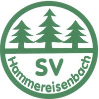 SV Hammereisenbach