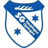 SV Liptingen