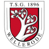 TSG Wellerode