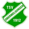TSV Obermelsungen