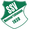 SSV Hommertshausen